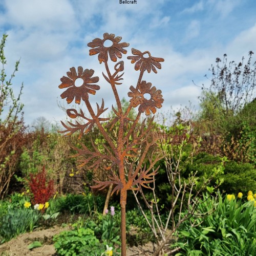 Kwiaty polne - rumianek