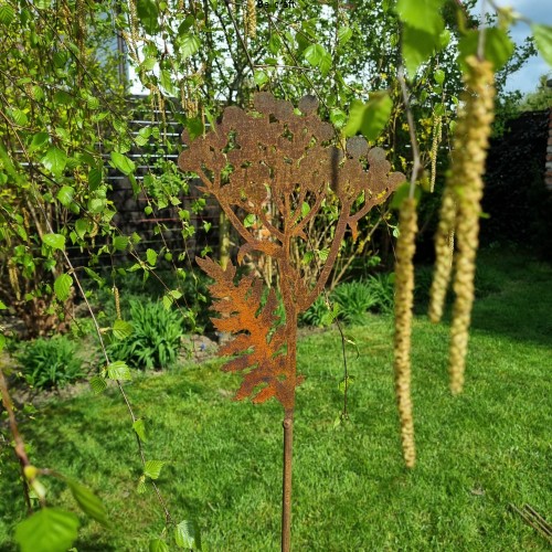 Kwiaty polne - wrotycz