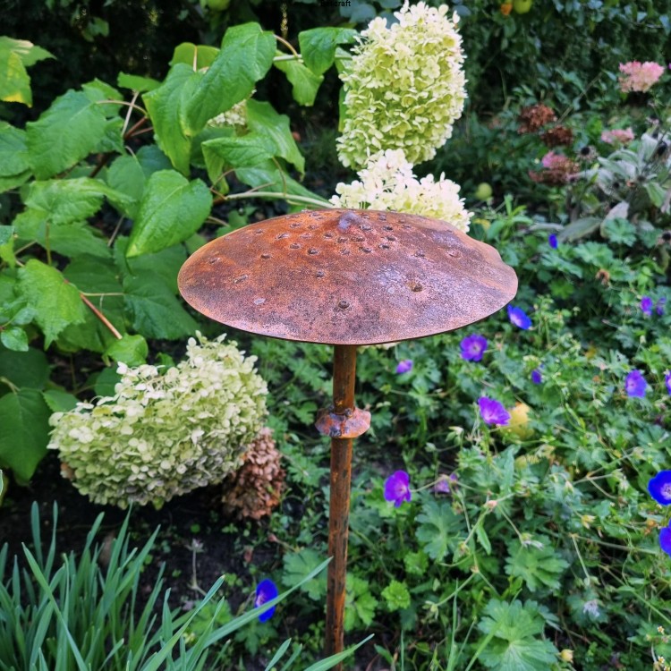 grzyb kania do ogrodu