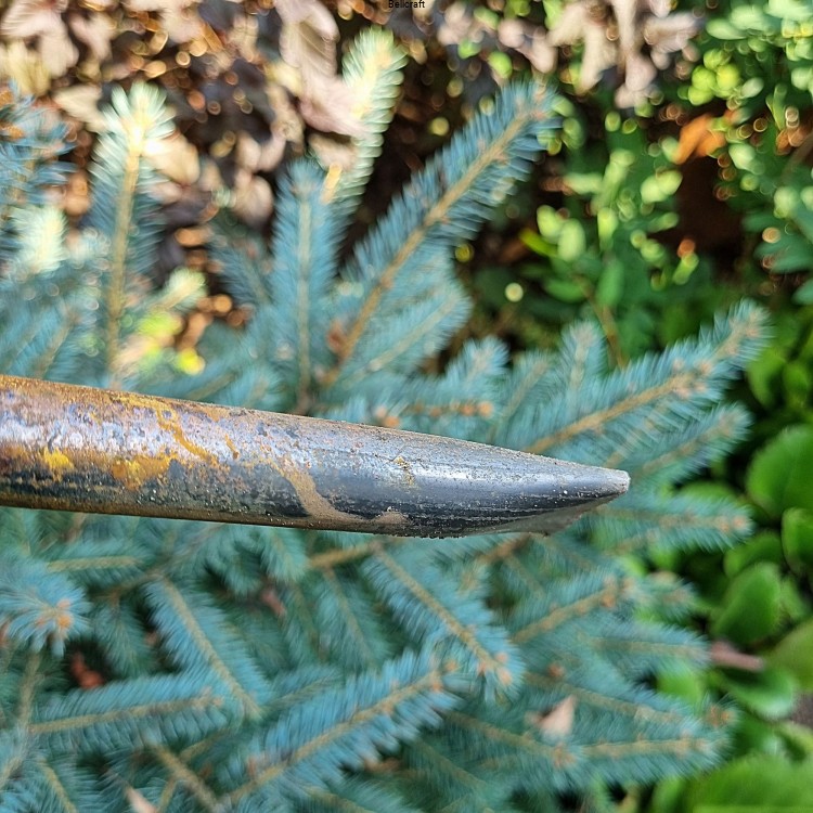 dekorowanie ogrodu na jesień grzyb