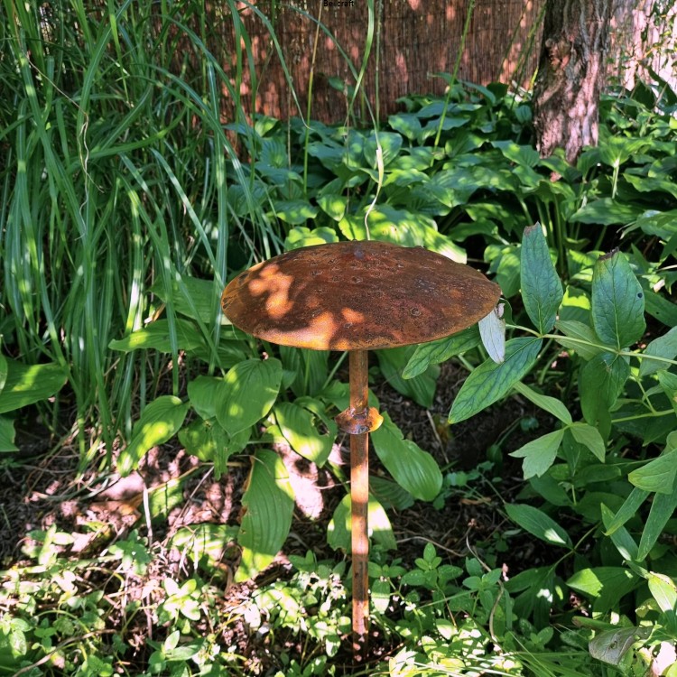 jesienna dekoracja ogrodu grzyb kania