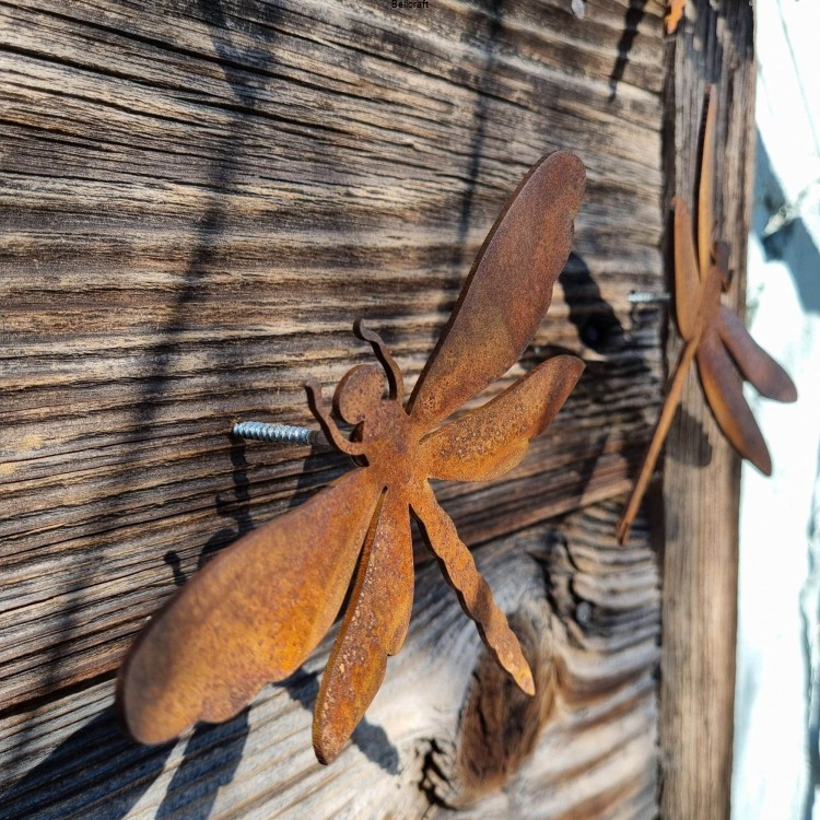 ważki malowane rdzą
