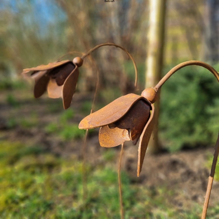 kwiaty metalowe rdzewione na wiosnę