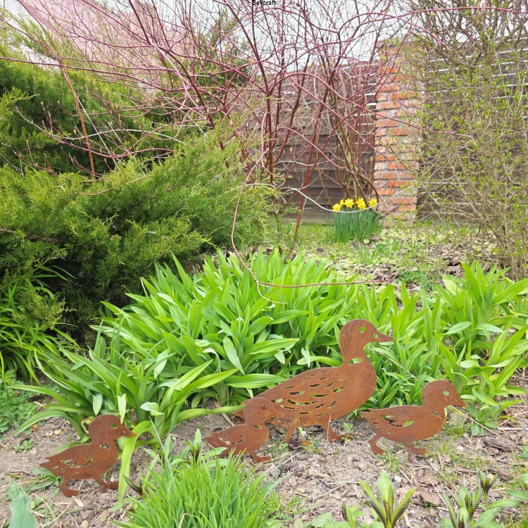kacza rodzinka metalowa dekoracja ogrodowa.jpg