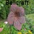 kwiat z metalu rdza hibiskus.jpg