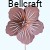 rdza w ogrodzie hibiskus.jpg