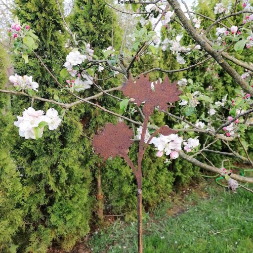 Chaber - metalowy kwiat