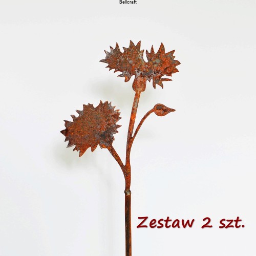 Chaber - zestaw 2 szt.