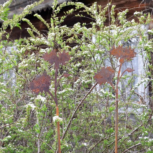 Chaber - zestaw 2 szt.