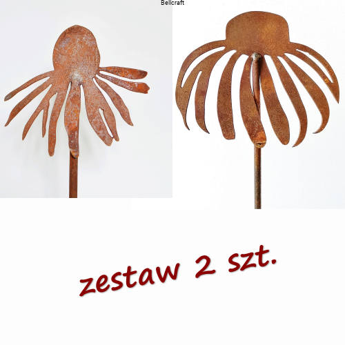 Jeżówka - zestaw 2 szt.
