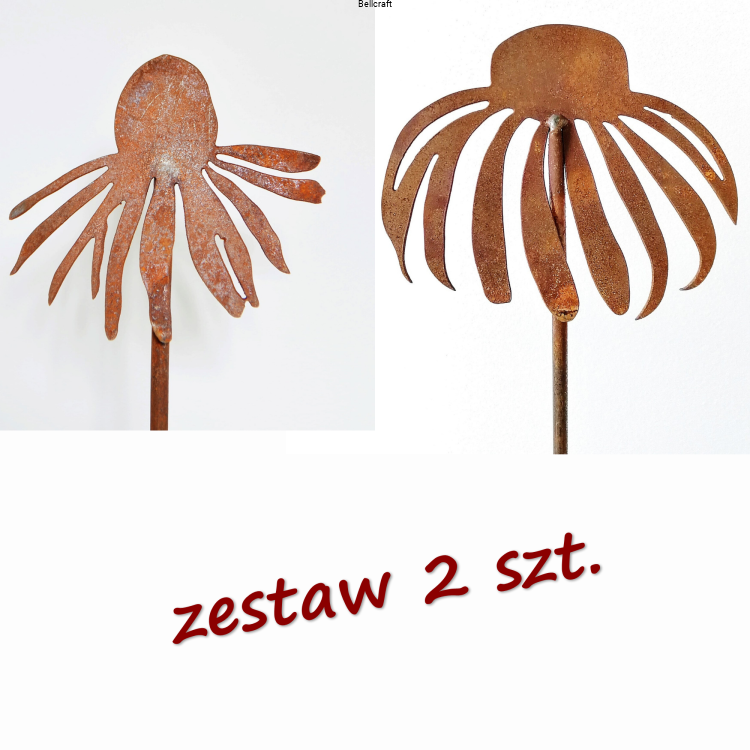Jeżówka - zestaw 2 szt.