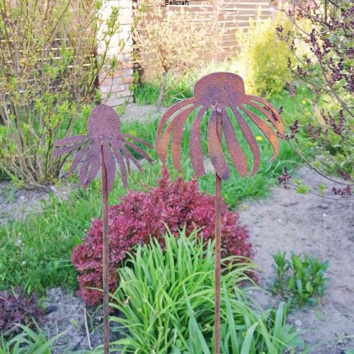 Jeżówka - zestaw 2 szt.