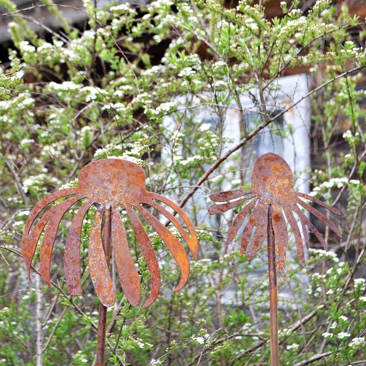 Jeżówka - zestaw 2 szt.