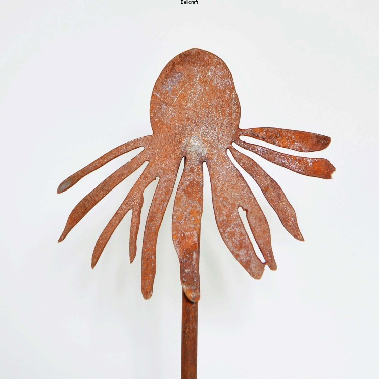 Jeżówka - zestaw 2 szt.