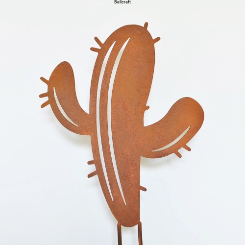 Kaktus - ozdoba do ogrodu