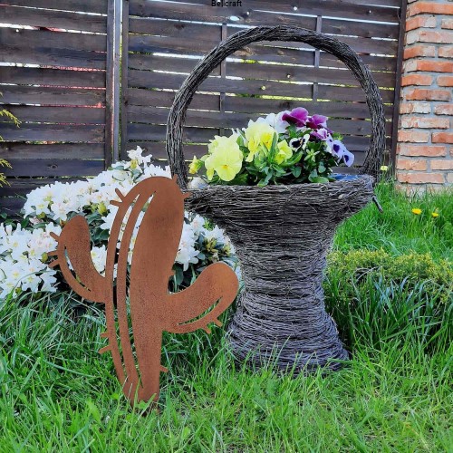 Kaktus - ozdoba do ogrodu