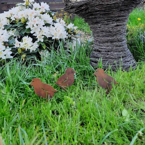 Kurczaczki - zestaw 3 szt.