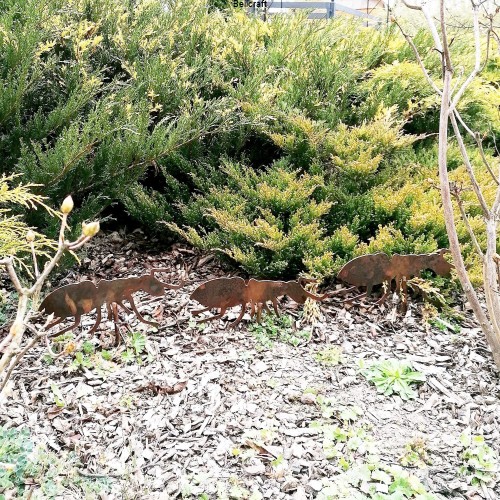 Mrówki - zestaw 3 szt.