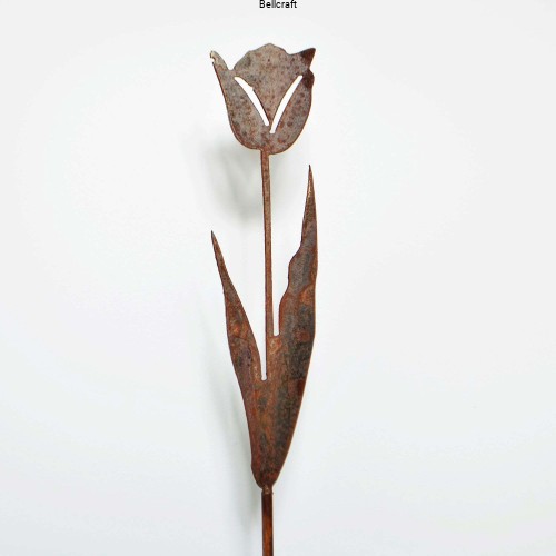 Tulipan - ozdoba do ogrodu