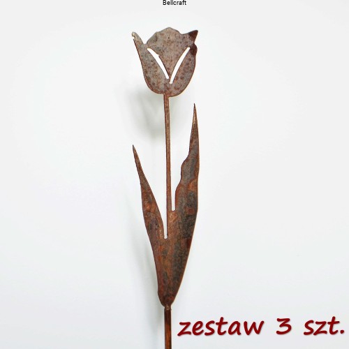 Tulipany - ozdoba do ogrodu