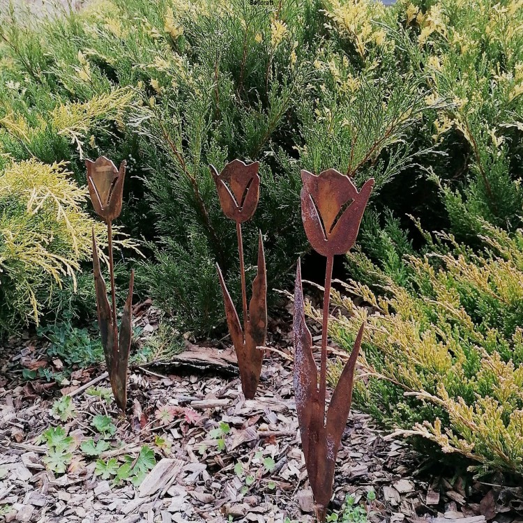 Tulipany - ozdoba do ogrodu