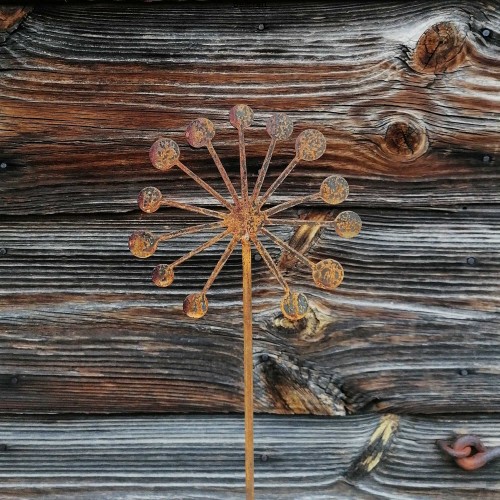 Dmuchawiec - ozdoba do ogrodu