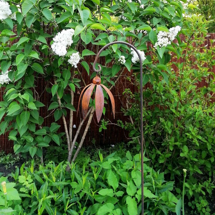 Jeżówka - wiszący metalowy kwiat