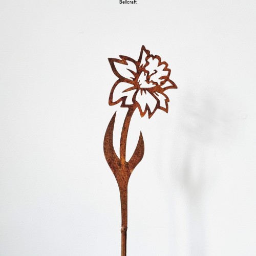 Narcyz - ozdoba do wiosennego ogrodu