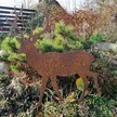 Jeleń - metalowa dekoracja ogrodowa (3)
