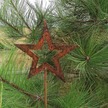Gwiazda - świąteczna dekoracja ogrodowa (3)