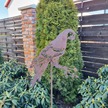 Papuga - dekoracja do ogrodu z metalu (4)