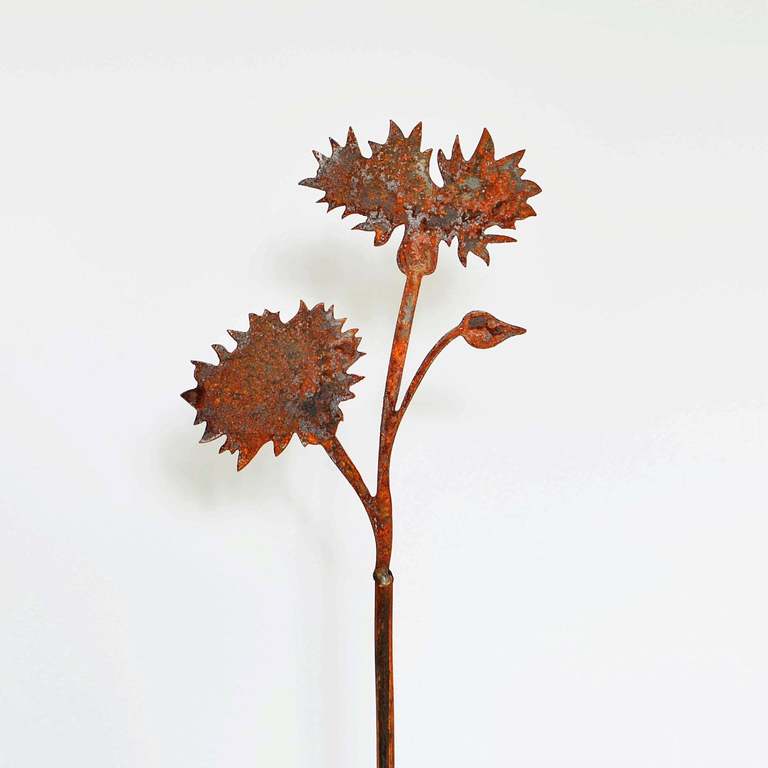 Chaber - metalowy kwiat  (1)