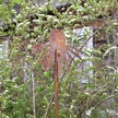 Jeżówka 2 - metalowy kwiat  (3)